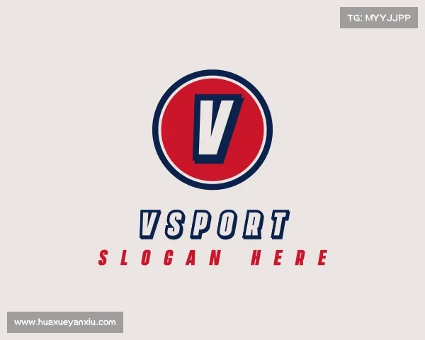 了解VSport